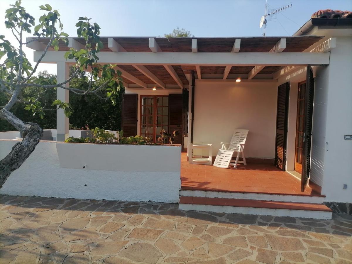Le Palme Daire Capoliveri  Dış mekan fotoğraf
