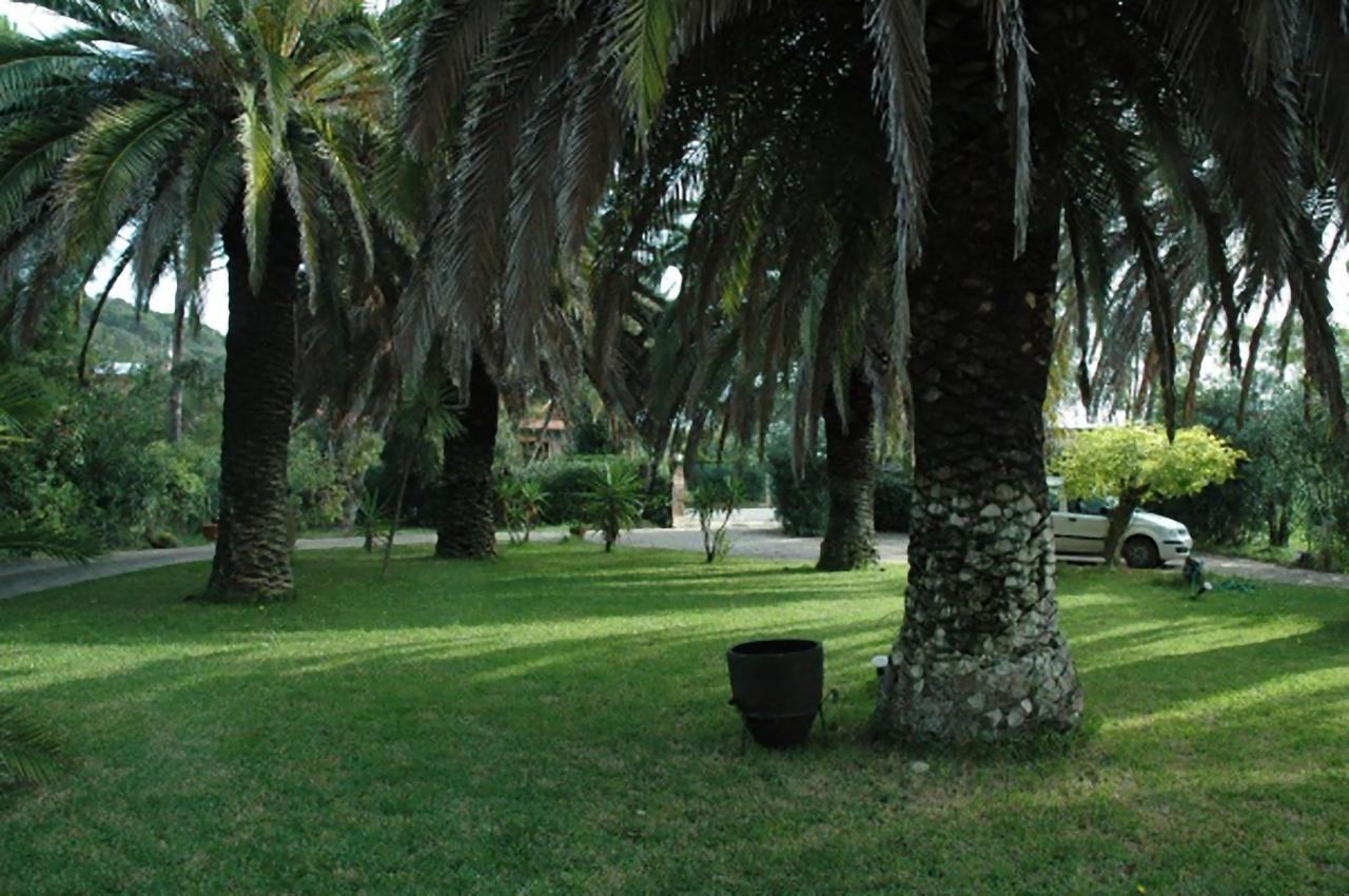 Le Palme Daire Capoliveri  Dış mekan fotoğraf