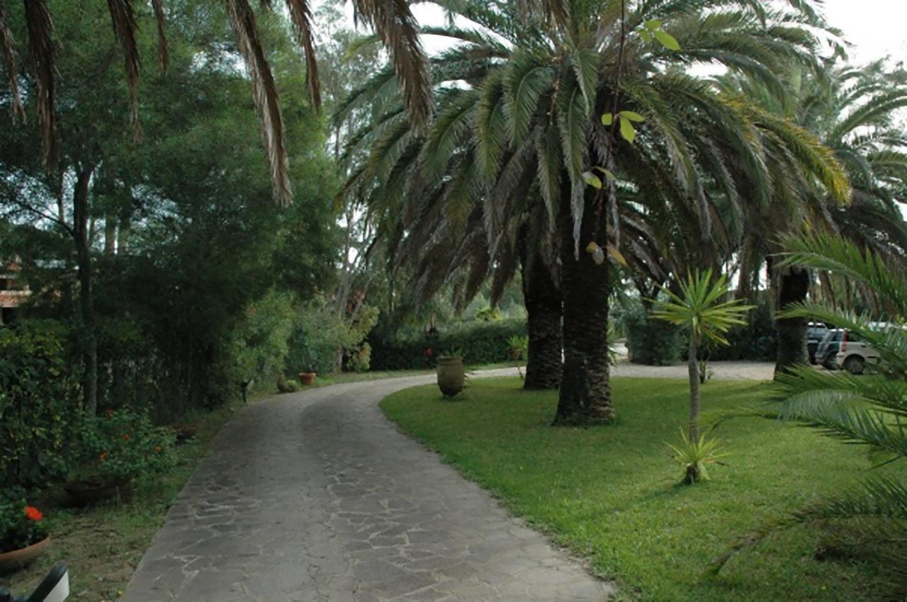 Le Palme Daire Capoliveri  Dış mekan fotoğraf