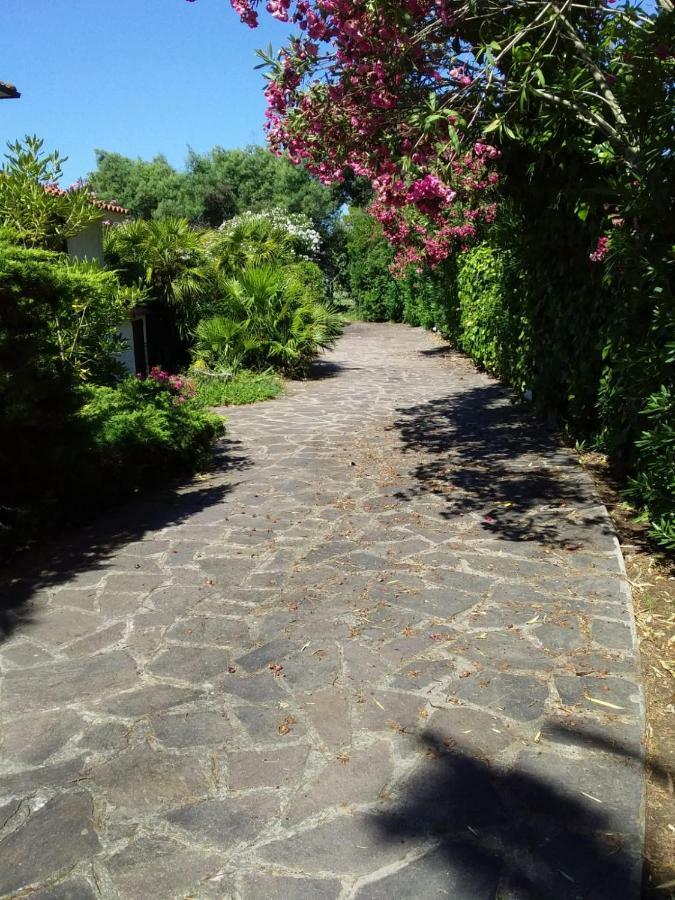Le Palme Daire Capoliveri  Dış mekan fotoğraf