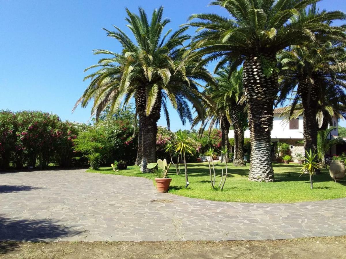 Le Palme Daire Capoliveri  Dış mekan fotoğraf