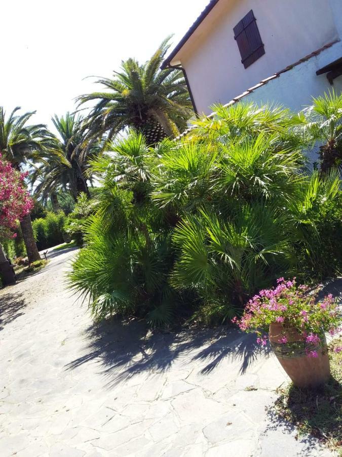 Le Palme Daire Capoliveri  Dış mekan fotoğraf